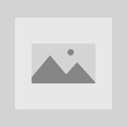 Product-Placeholder.webp This Is A Simple Product Title